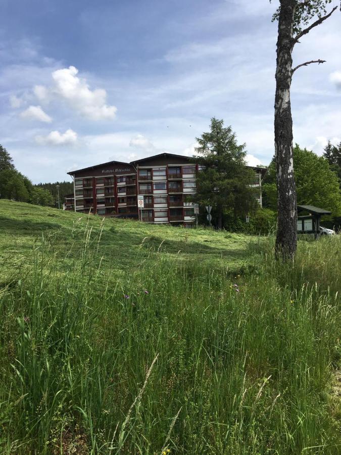 Schwarzwaldglueck Apartment Schluchsee Luaran gambar