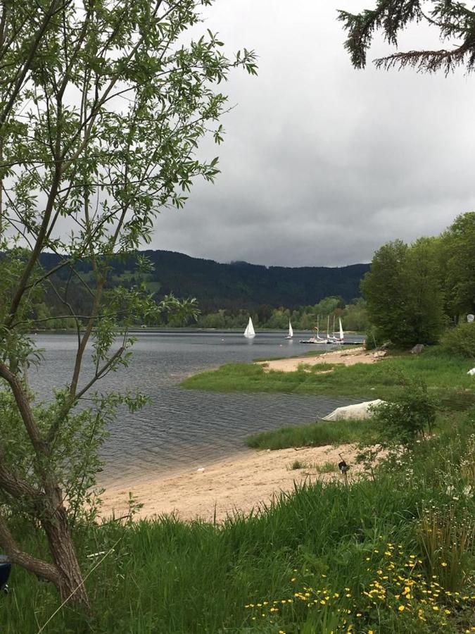 Schwarzwaldglueck Apartment Schluchsee Luaran gambar