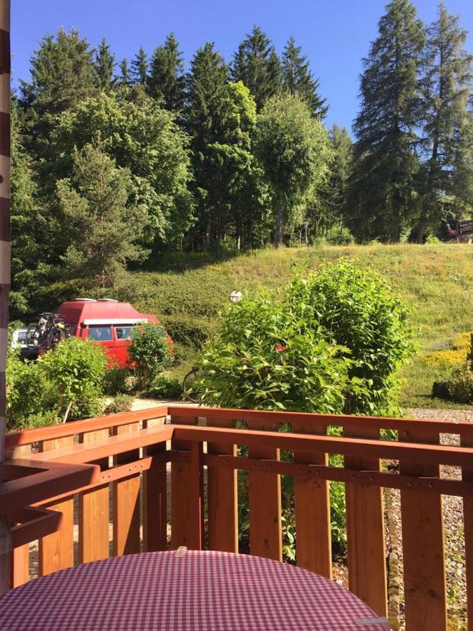 Schwarzwaldglueck Apartment Schluchsee Luaran gambar