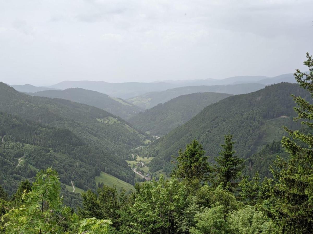 Schwarzwaldglueck Apartment Schluchsee Luaran gambar