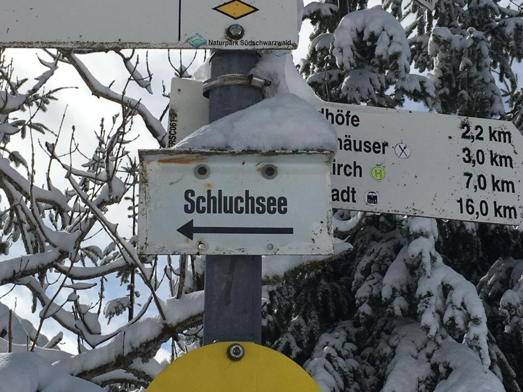 Schwarzwaldglueck Apartment Schluchsee Luaran gambar